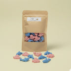 Sea Life Wax Melt Set