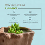 Sanctuary Mood Candle