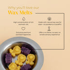 Safari Wax Melt Set