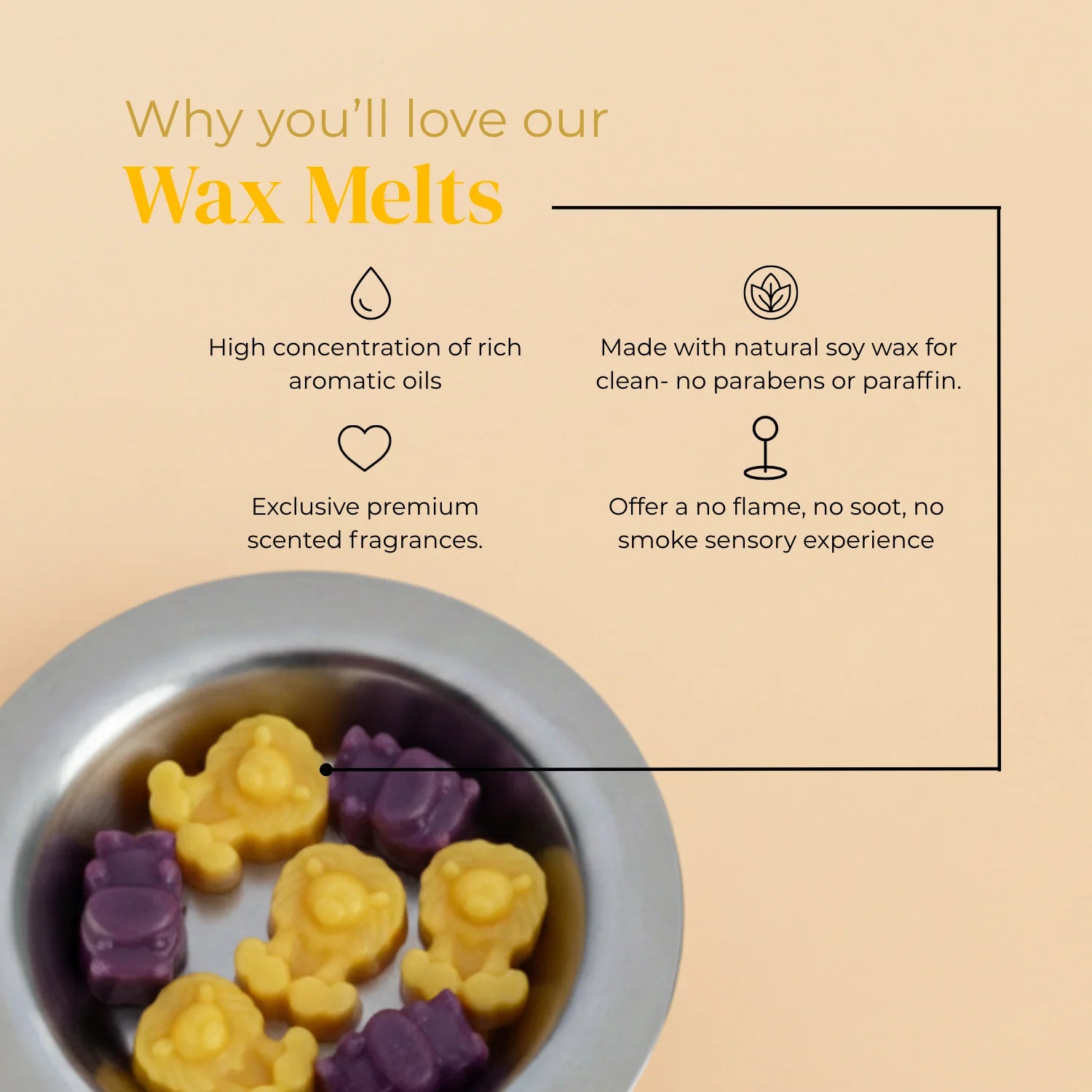 Safari Wax Melt Set