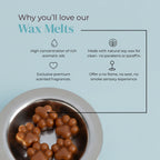 Cozy Paws Wax Melt Set