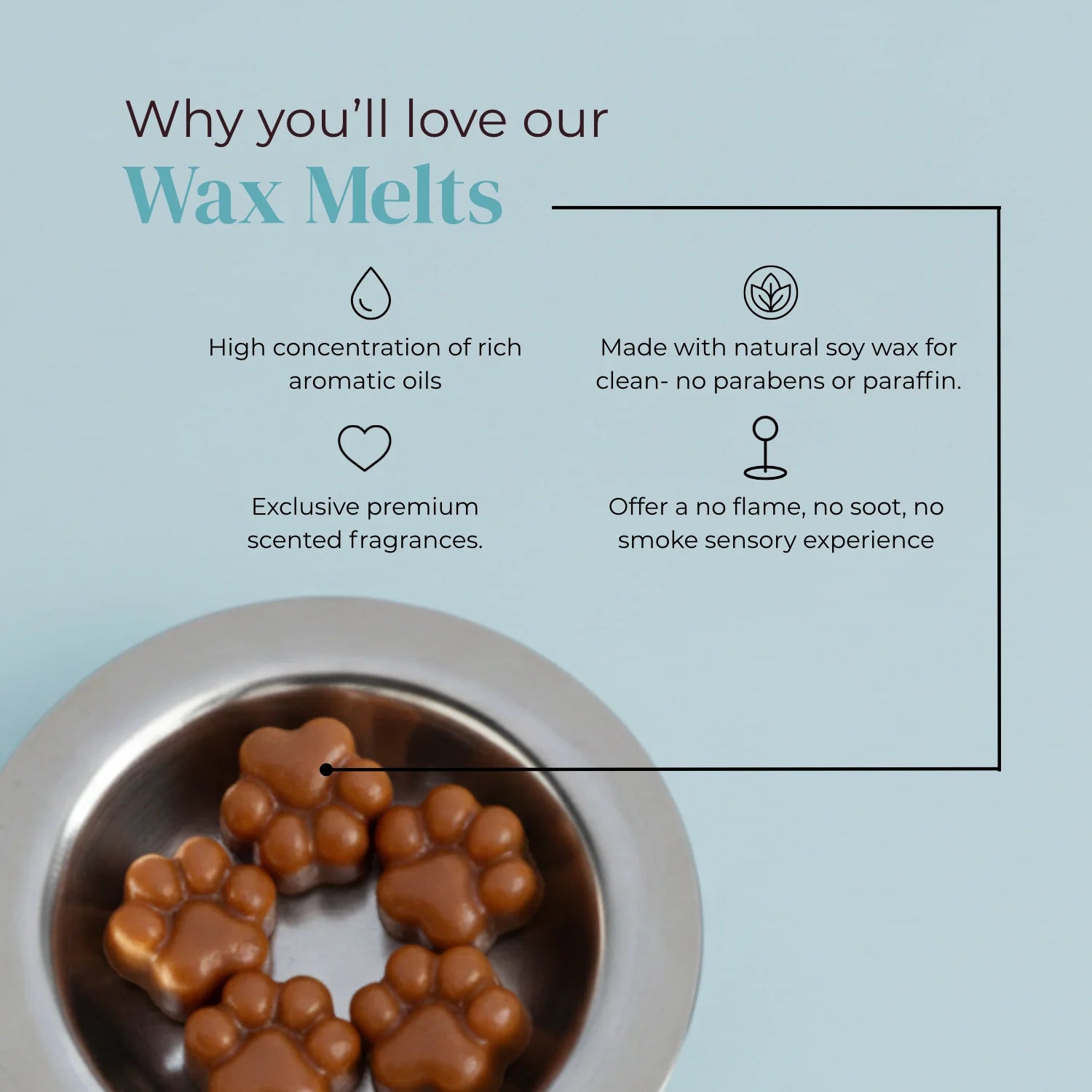 Cozy Paws Wax Melt Set