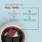 Poker Wax Melt Set