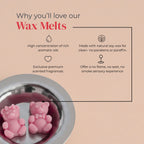 Mrs. & Mr. Teddy Wax Melt Set